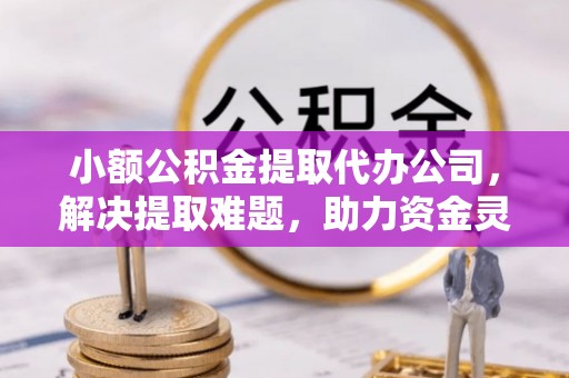 杭州小额公积金提取代办公司，解决提取难题，助力资金灵活使用