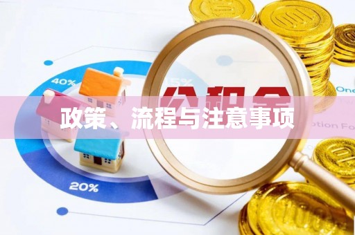 杭州政策、流程与注意事项