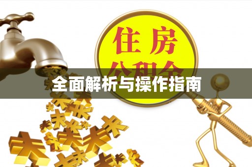 杭州全面解析与操作指南