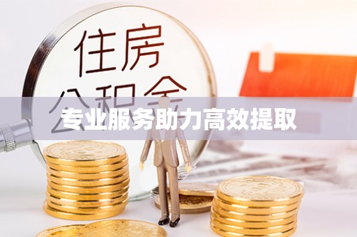 杭州专业服务助力高效提取