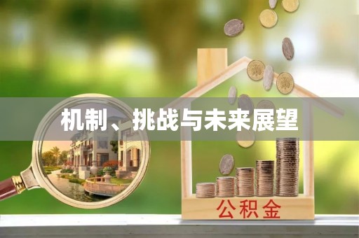 杭州机制、挑战与未来展望