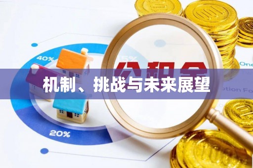 杭州机制、挑战与未来展望